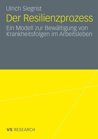 Der Resilienzprozess