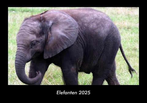 Elefanten 2025 Fotokalender DIN A3