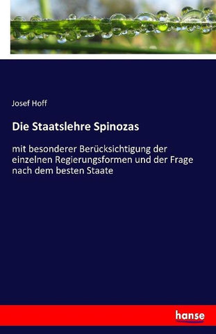 Die Staatslehre Spinozas