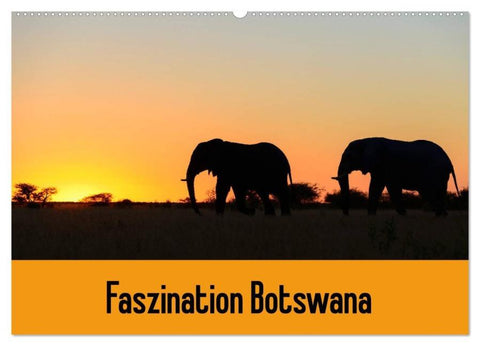 Faszination Botswana (Wandkalender 2026 DIN A2 quer), CALVENDO Monatskalender