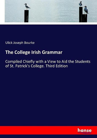 The College Irish Grammar