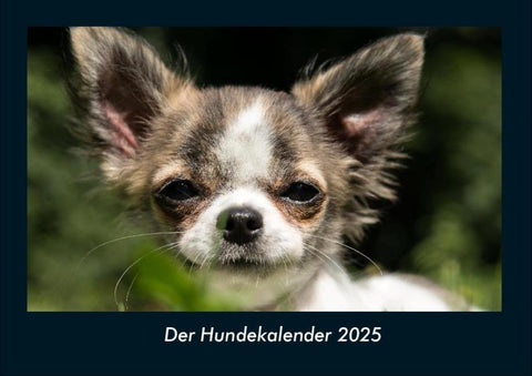Der Hundekalender 2025 Fotokalender DIN A4
