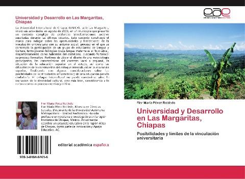 Universidad y Desarrollo en Las Margaritas, Chiapas