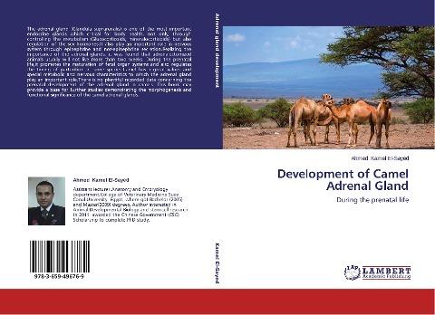 Development of Camel Adrenal Gland