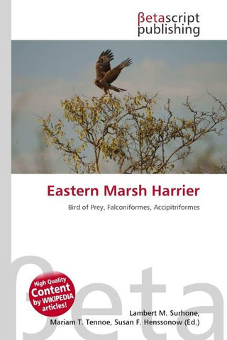 Eastern Marsh Harrier