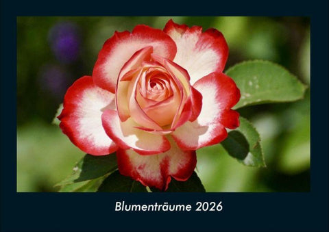 Blumenträume 2026 Fotokalender DIN A4