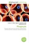Phagocyte