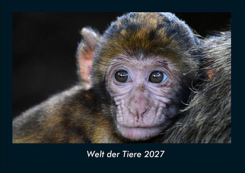 Welt der Tiere 2027 Fotokalender DIN A4