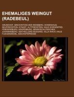 Ehemaliges Weingut (Radebeul)