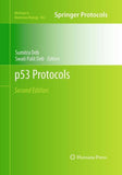 p53 Protocols