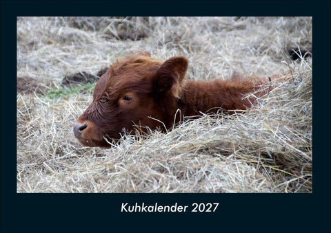 Kuhkalender 2027 Fotokalender DIN A4
