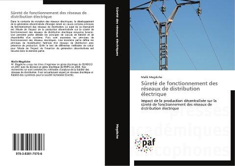 Sûreté de fonctionnement des réseaux de distribution électrique