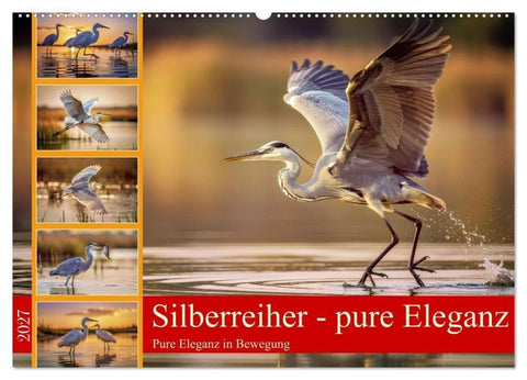 Silberreiher - pure Eleganz (Wandkalender 2027 DIN A2 quer), CALVENDO Monatskalender