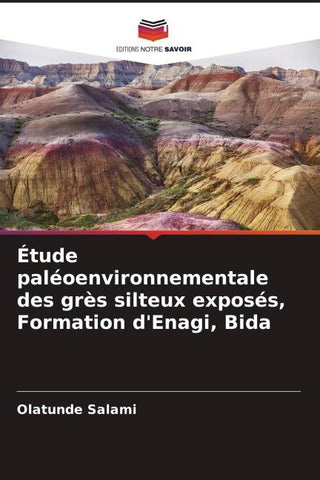 Étude paléoenvironnementale des grès silteux exposés, Formation d'Enagi, Bida