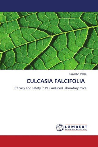 CULCASIA FALCIFOLIA