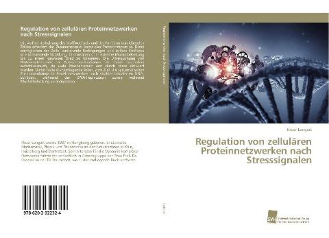 Regulation von zellulären Proteinnetzwerken nach Stresssignalen