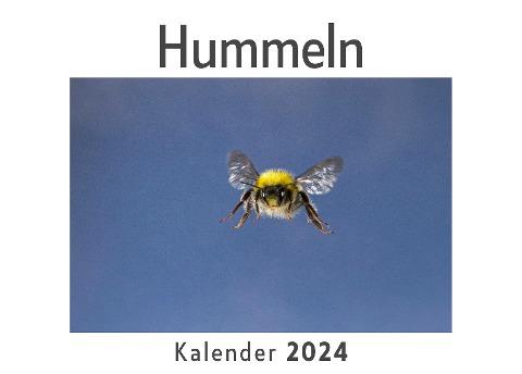 Hummeln (Wandkalender 2024, Kalender DIN A4 quer, Monatskalender im Querformat mit Kalendarium, Das perfekte Geschenk)