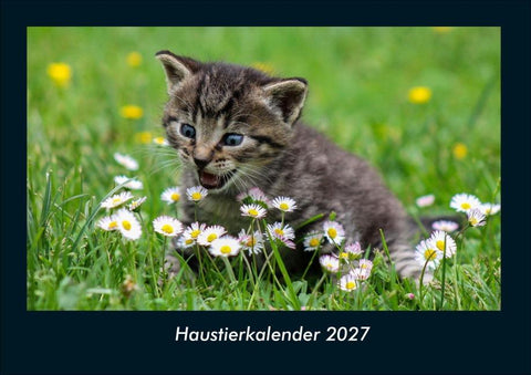 Haustierkalender 2027 Fotokalender DIN A4