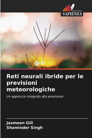 Reti neurali ibride per le previsioni meteorologiche