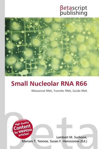 Small Nucleolar RNA R66