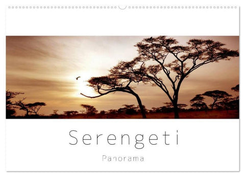 Serengeti Panorama (Wandkalender 2026 DIN A2 quer), CALVENDO Monatskalender