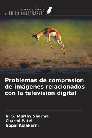 Problemas de compresión de imágenes relacionados con la televisión digital