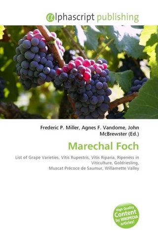 Marechal Foch