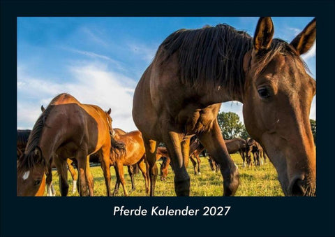 Pferde Kalender 2027 Fotokalender DIN A4