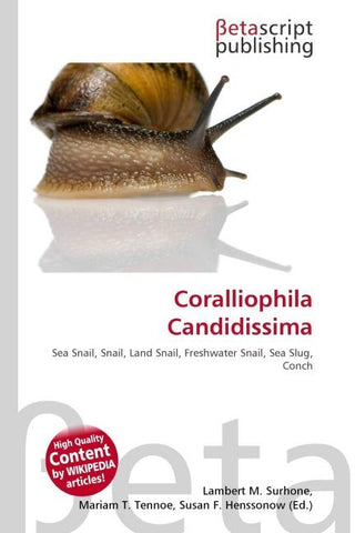 Coralliophila Candidissima