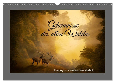 Geheimnisse des alten Waldes (Wandkalender 2026 DIN A3 quer), CALVENDO Monatskalender
