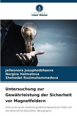 Untersuchung zur Gewährleistung der Sicherheit vor Magnetfeldern