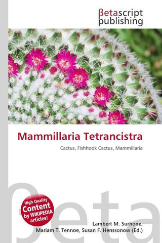 Mammillaria Tetrancistra
