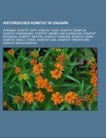 Historisches Komitat in Ungarn