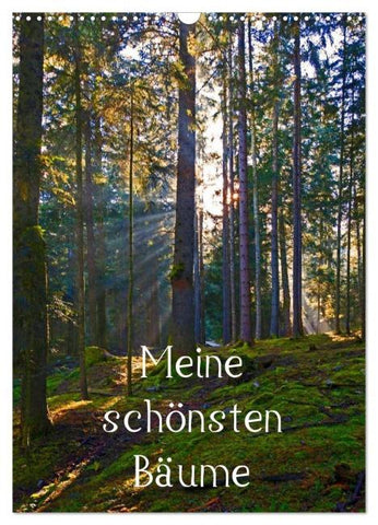 Meine schönsten Bäume (Wandkalender 2026 DIN A3 hoch), CALVENDO Monatskalender