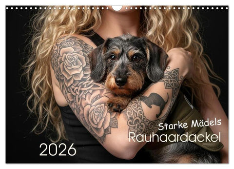 Starke Mädels - Rauhaardackel (Wandkalender 2026 DIN A3 quer), CALVENDO Monatskalender