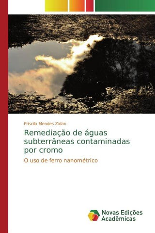 Remediação de águas subterrâneas contaminadas por cromo