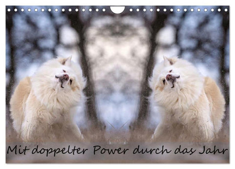 Mit doppelter Power durch das Jahr (Wandkalender 2026 DIN A4 quer), CALVENDO Monatskalender