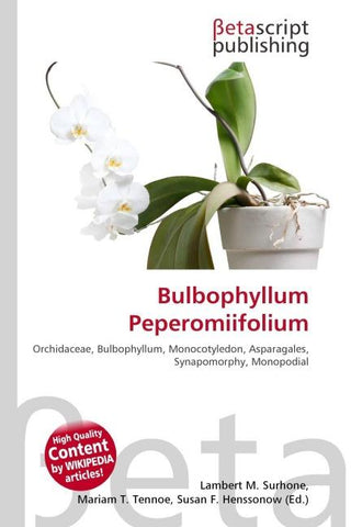 Bulbophyllum Peperomiifolium