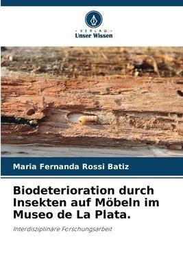 Biodeterioration durch Insekten auf Möbeln im Museo de La Plata.