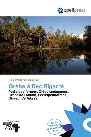 Grèbe à Bec Bigarré