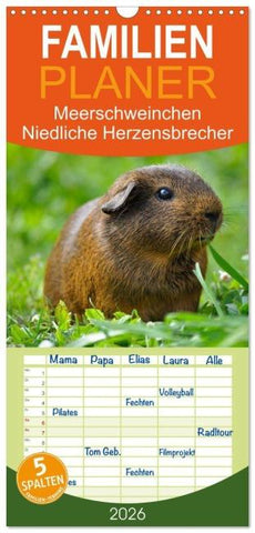 Familienplaner 2026 - Meerschweinchen Niedliche Herzensbrecher mit 5 Spalten (Wandkalender, 21 x 45 cm) CALVENDO