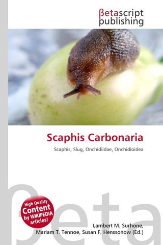 Scaphis Carbonaria