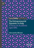 The Entrepreneurial Dynamics in Italy