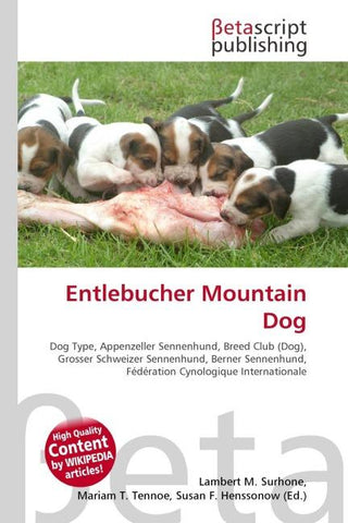 Entlebucher Mountain Dog