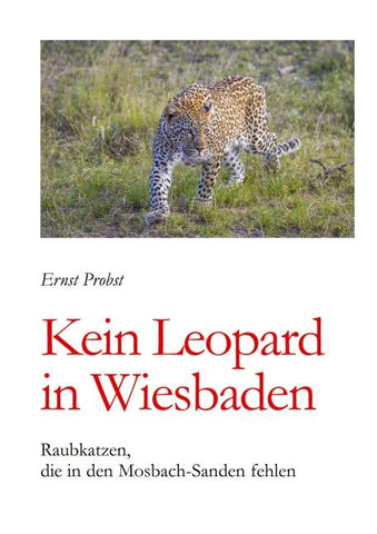 Kein Leopard in Wiesbaden