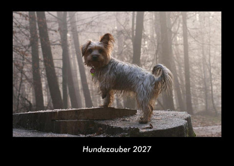 Hundezauber 2027 Fotokalender DIN A3