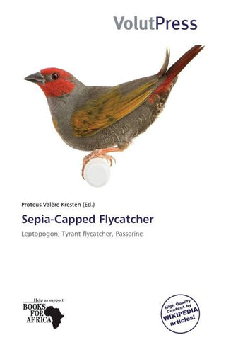 Sepia-Capped Flycatcher