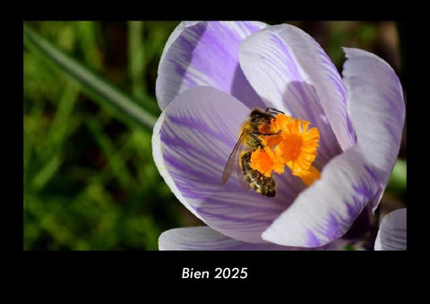 Bien 2025 Fotokalender DIN A3