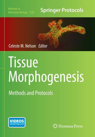 Tissue Morphogenesis