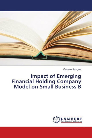 Impact of Emerging Financial Holding Company Model on Small Business B
